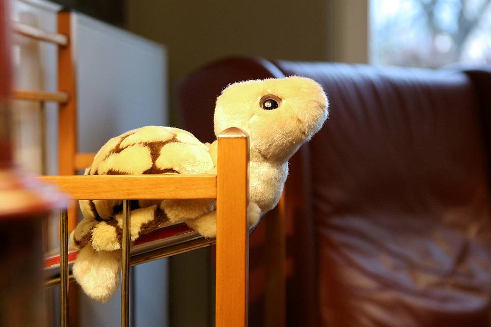 Zahnarztpraxis Schaefer Berlin Pankow 9